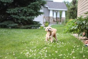 Is Opening Your Heart Worth It? | Millennials with Meaning