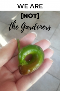 We Are [Not] the Gardeners (Sowing + Reaping) | Millennials with Meaning