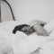 Do You Wake Up With a Song in Your Head?