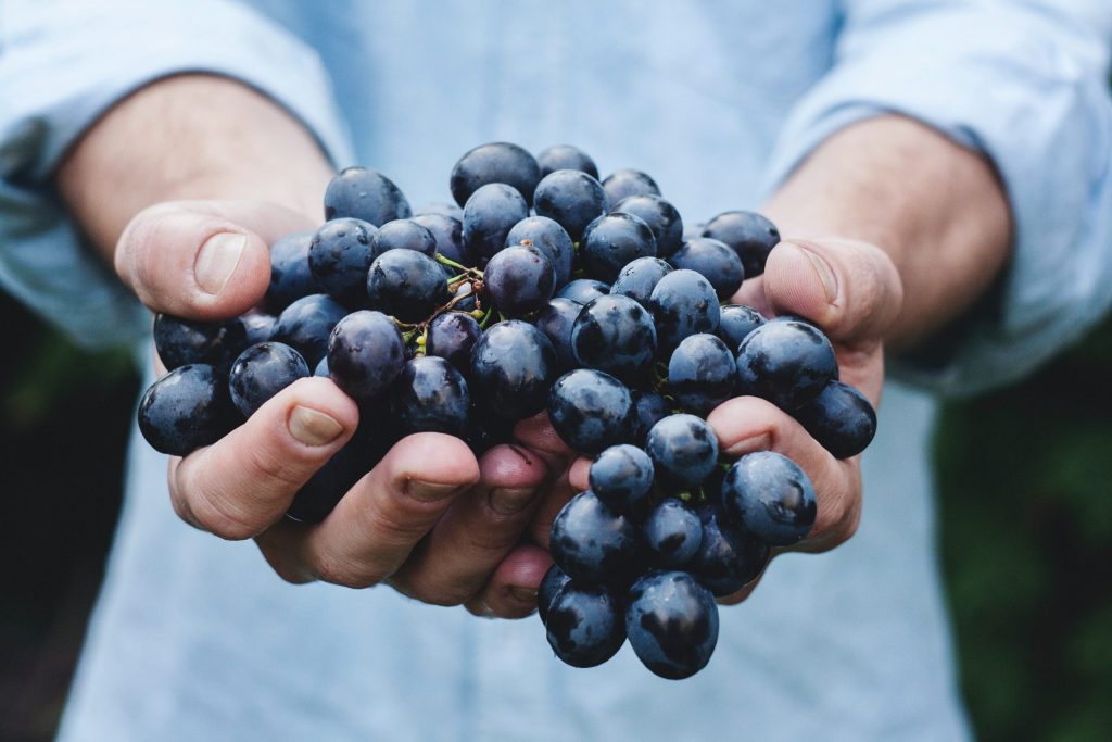 Fruit vs. Gifts | Millennials with Meaning