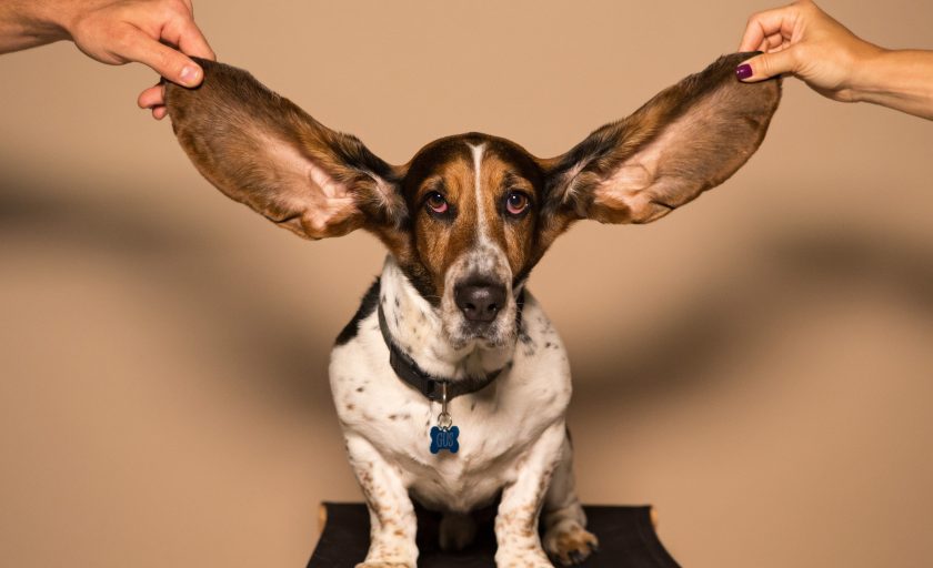 Your Hearing Affects Your Heart