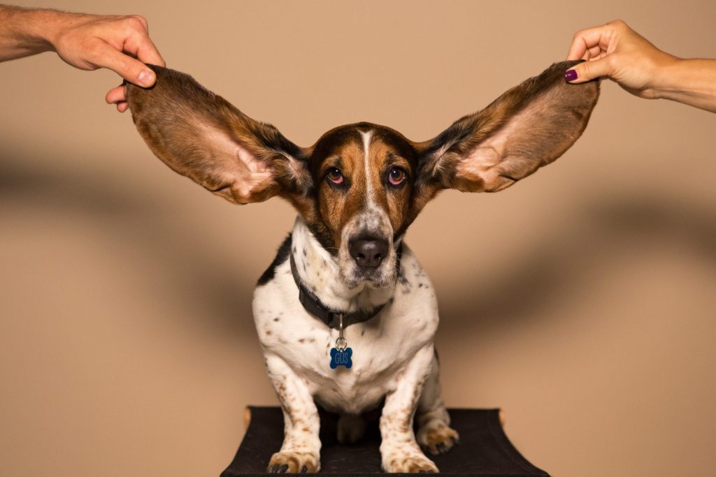 Your Hearing Affects Your Heart | Millennials with Meaning