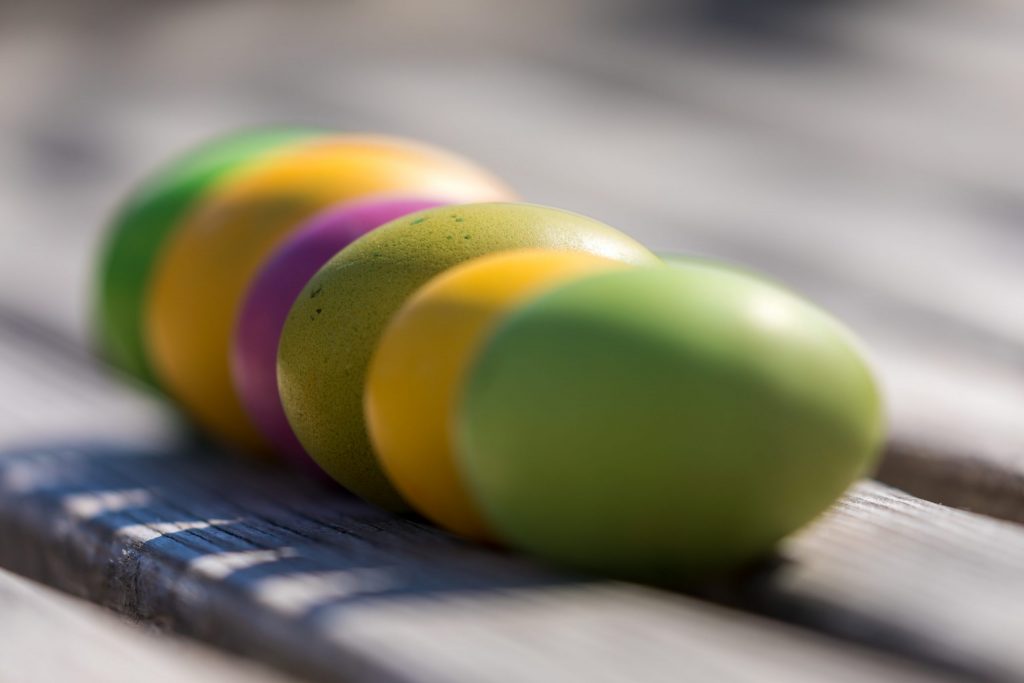 Green Eggs and Ham | Millennials with Meaning