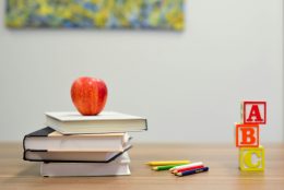 Thoughts on Choosing the Best Type of Schooling for Your Kids